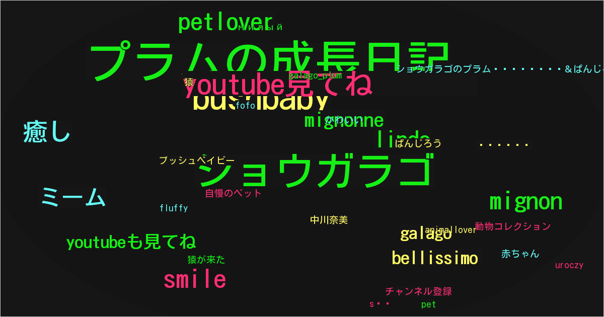 ショウガラゴのプラム🐒🍑＆ぱんじろう🐒🍞💕