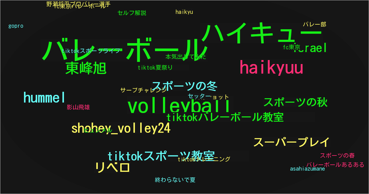 野瀬将平プロバレー選手